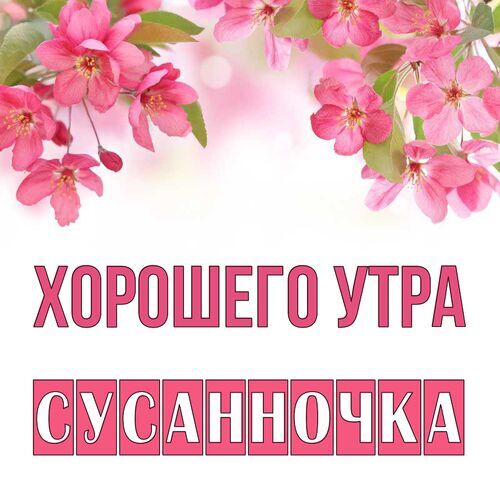 Открытка Сусанночка Хорошего утра