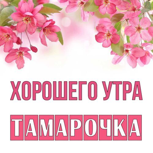 Открытка Тамарочка Хорошего утра