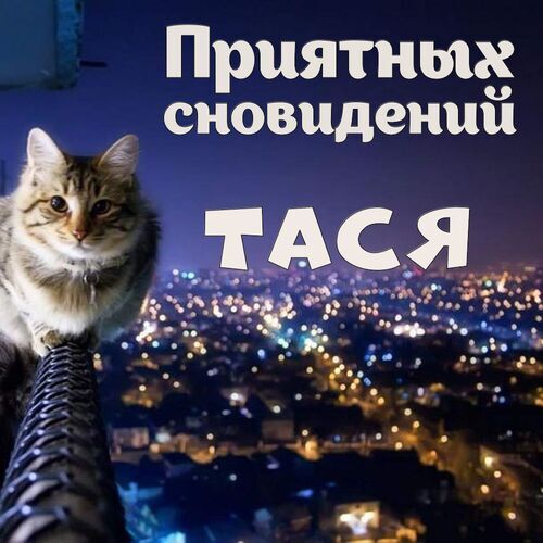 Открытка Тася Приятных сновидений