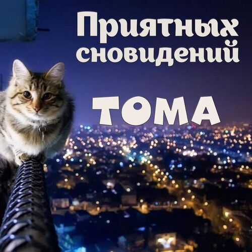 Открытка Тома Приятных сновидений