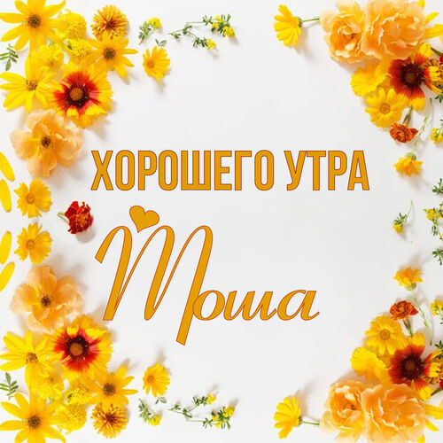 Открытка Тоша Хорошего утра