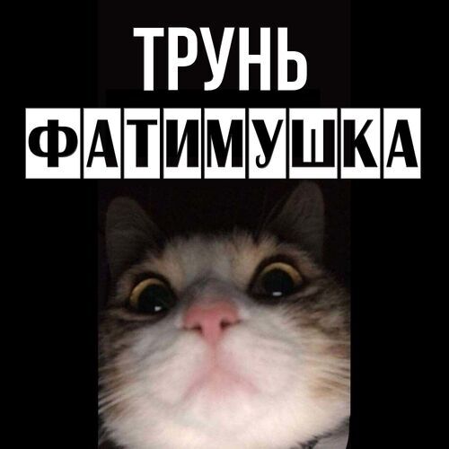 Открытка Фатимушка Трунь