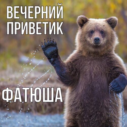 Открытка Фатюша Вечерний приветик