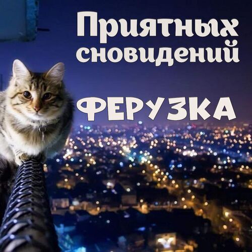 Открытка Ферузка Приятных сновидений