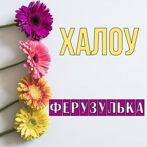 Открытка Ферузулька Халоу