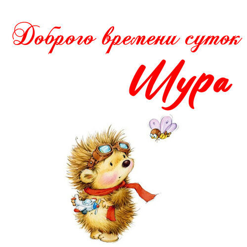 Открытка Шура Доброго времени суток