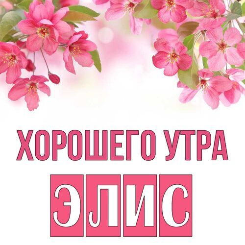 Открытка Элис Хорошего утра