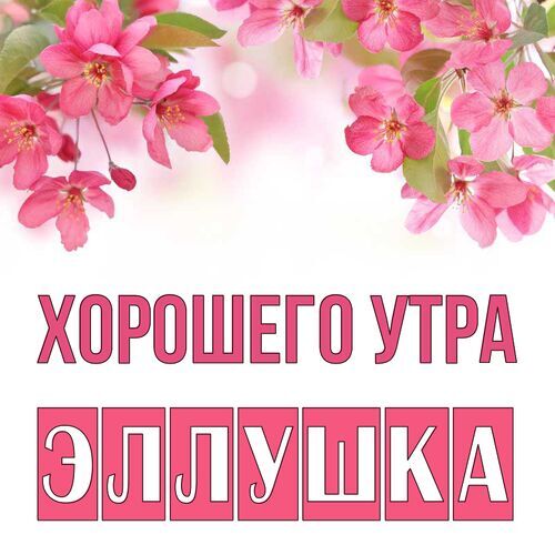 Открытка Эллушка Хорошего утра