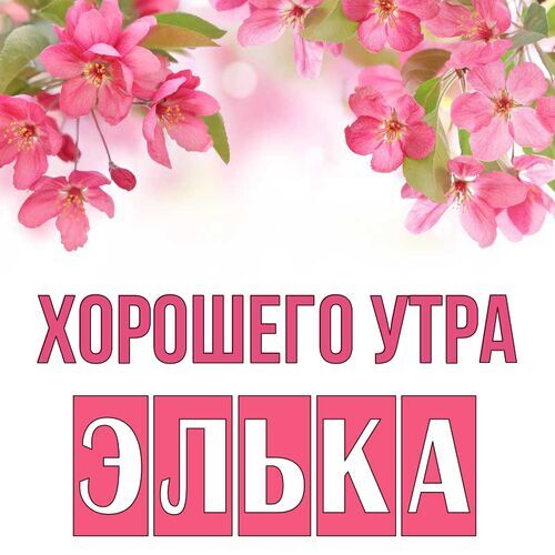 Открытка Элька Хорошего утра