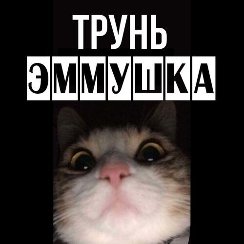 Открытка Эммушка Трунь