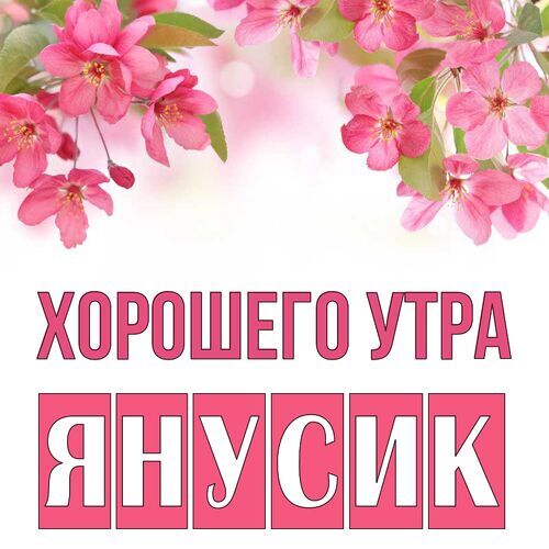 Открытка Янусик Хорошего утра