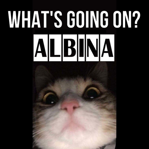 Открытка Albina What