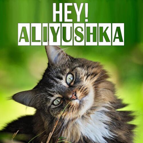 Открытка Aliyushka Hey!