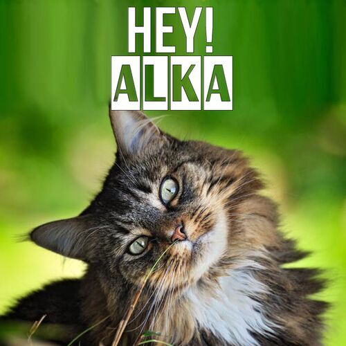 Открытка Alka Hey!