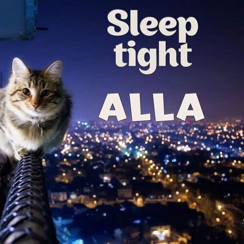 Открытка Alla Sleep tight