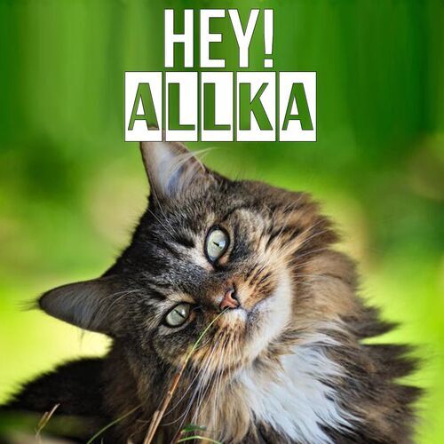 Открытка Allka Hey!