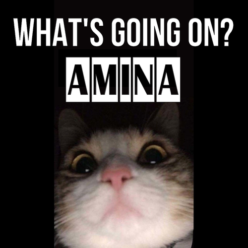 Открытка Amina What