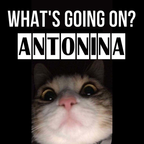 Открытка Antonina What