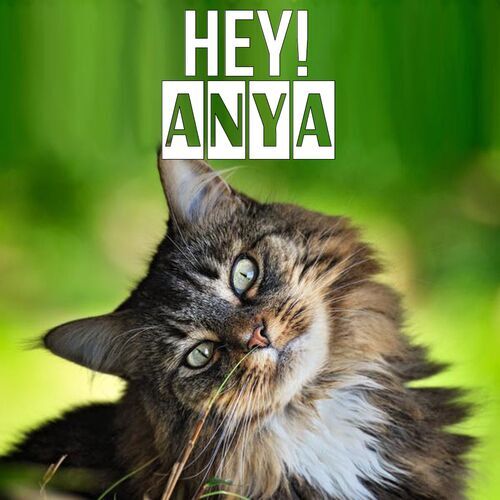 Открытка Anya Hey!