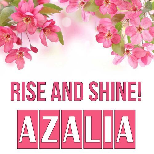 Открытка Azalia Rise and shine!