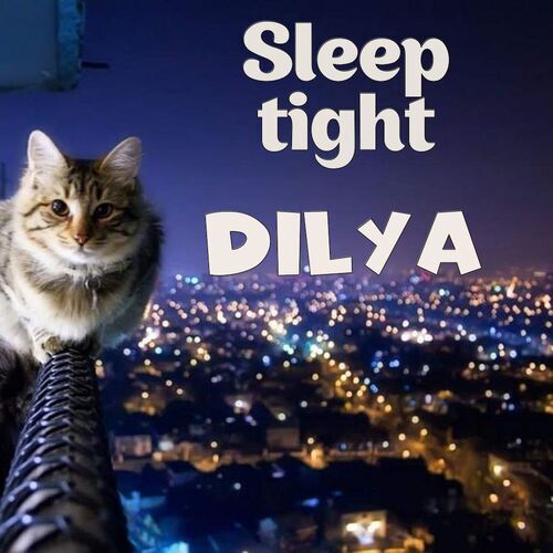 Открытка Dilya Sleep tight