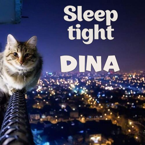 Открытка Dina Sleep tight