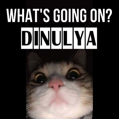 Открытка Dinulya What