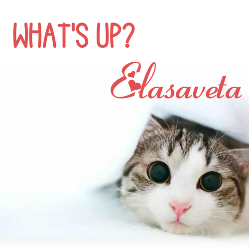 Открытка Elasaveta What