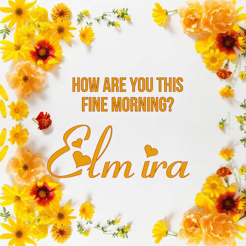 Открытка Elmira How are you this fine morning?