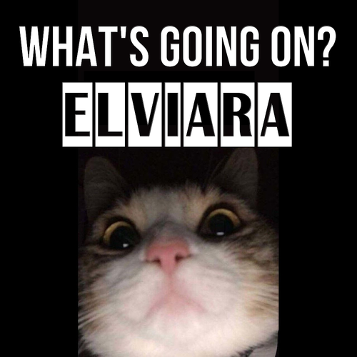 Открытка Elviara What