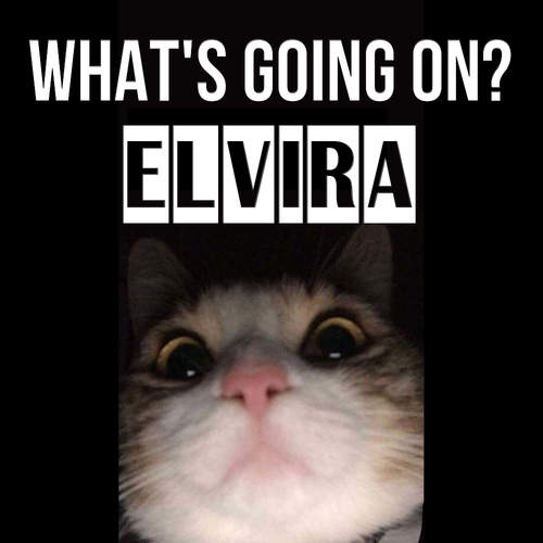 Открытка Elvira What