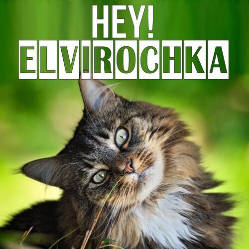 Открытка Elvirochka Hey!