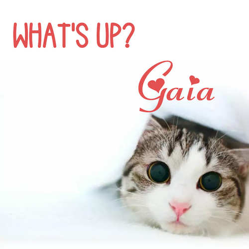 Открытка Gaia What