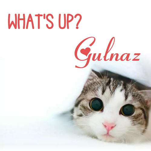 Открытка Gulnaz What