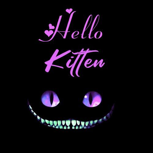 Открытка Kitten Hello