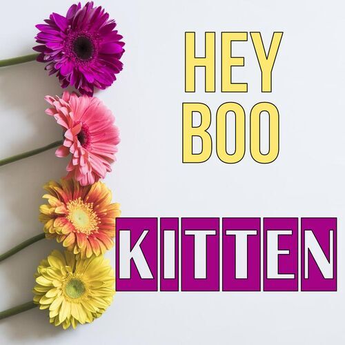 Открытка Kitten Hey boo