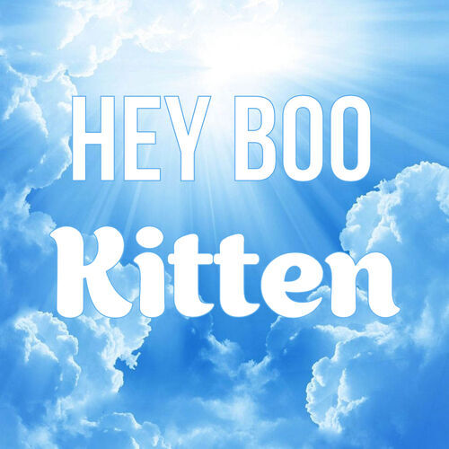 Открытка Kitten Hey boo