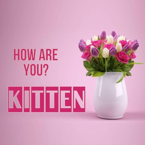 Открытка Kitten How are you?