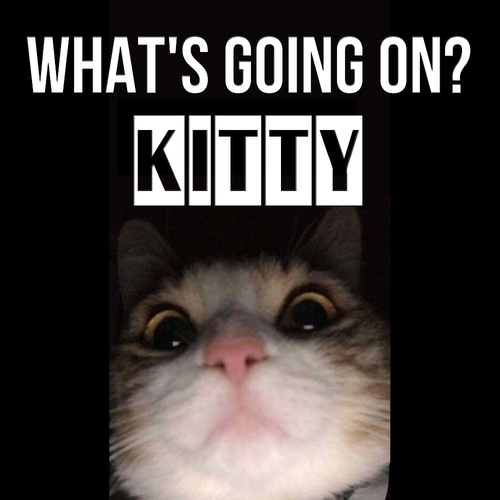 Открытка Kitty What