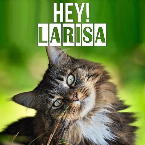 Открытка Larisa Hey!