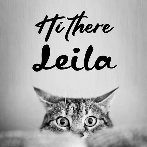 Открытка Leila Hi there