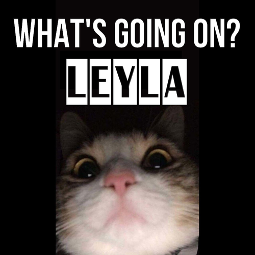 Открытка Leyla What