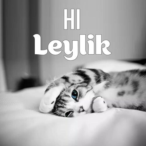 Открытка Leylik Hi