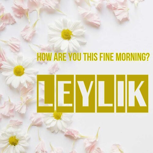 Открытка Leylik How are you this fine morning?