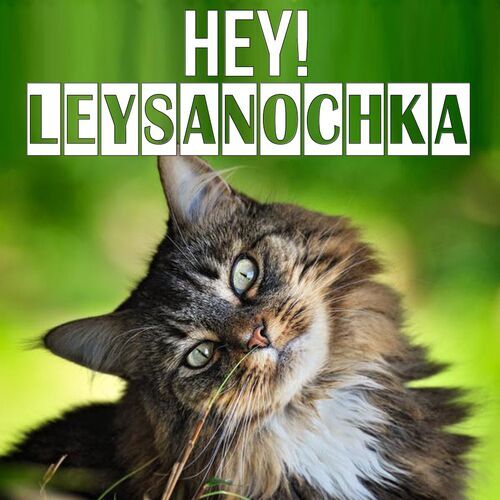 Открытка Leysanochka Hey!