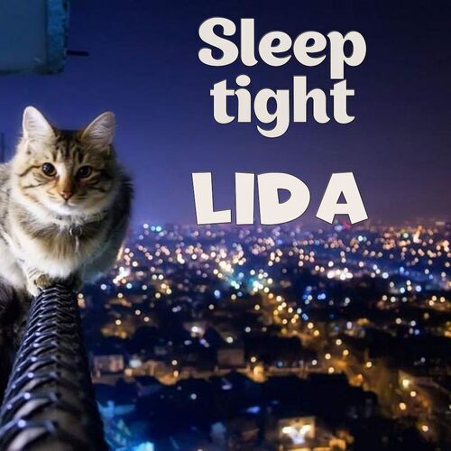 Открытка Lida Sleep tight