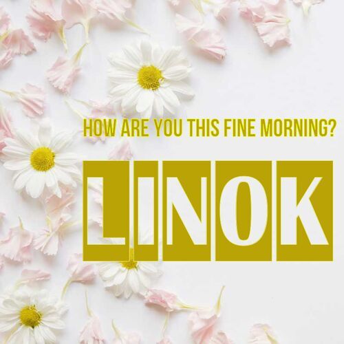 Открытка Linok How are you this fine morning?