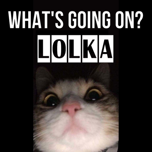 Открытка Lolka What