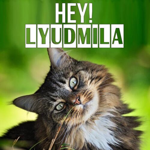 Открытка Lyudmila Hey!