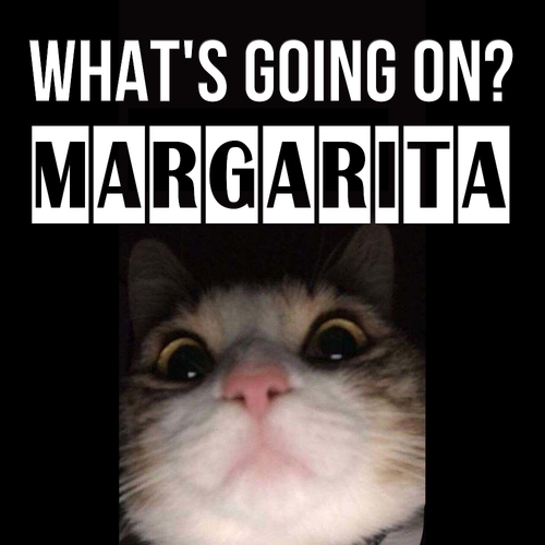 Открытка Margarita What